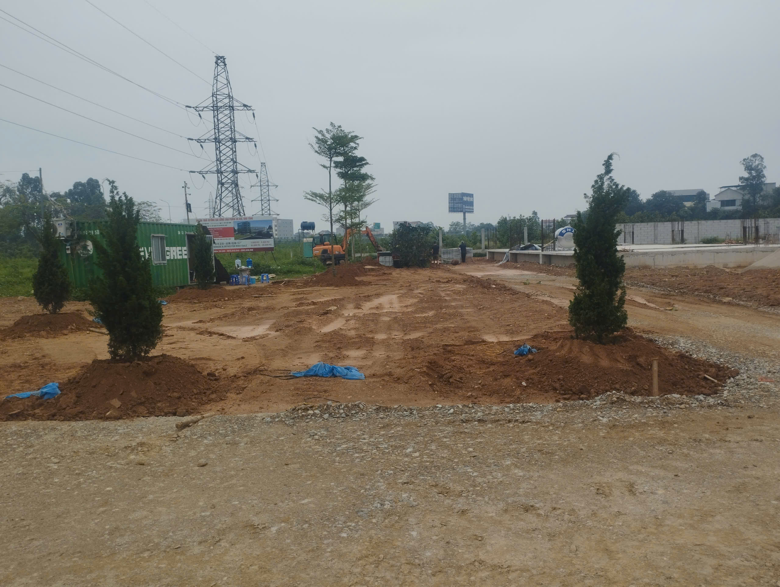 KCN Sơn Lôi trồng cây xanh